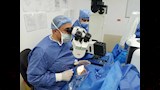 نجاح 5 جراحات زراعة قرنية بمجمع الإسماعيلية الطبي (2)