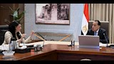 الدكتور مصطفى مدبولي