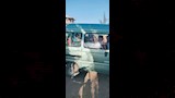 غلق ماسورة الصرف وتوفير مواصلة مجانية لتلاميذ عزبة مطاوع بالبحيرة (7)_12