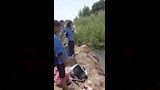 التلاميذ يقفون على حافة الخور