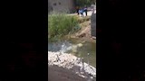 مكان عبور التلاميذ