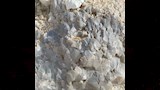 جبل الكريستال (10)