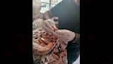 لحوم مصنعة غير صالحة للاستهلاك 