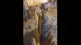 القليوبية ترفع جاهزية 3 مواقع لمواجهة الأمطار قبل الشتاء  (3)