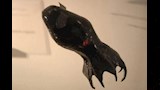 حبار مصاص الدماء