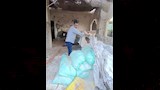 ضبط الدقيق 