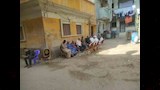 ضحية حادث الرياض (6)