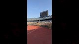مدرجات الأهلي 