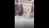 انهيار سقف مسجد في الفيوم (2)