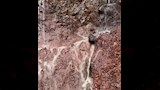 امطار غزيرة بطابا بجنوب سيناء،