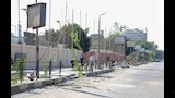 تشجير شوارع المعادي (3)