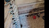 حملات رقابية على الأسواق في الإسكندرية (1)_1