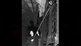 مُشعل المصابيح