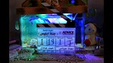 كلاكيت حكاية جنة إبليس