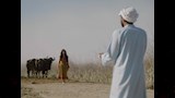 مشهد بفيلم البصير