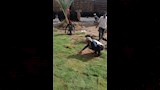 اعمال التطوير
