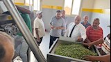 وزير الزراعة يطلق تشغيل معصرة النثيلة لتعظيم القيمة المضافة لزيتون سيناء