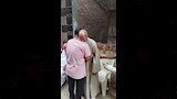 عزاء ضحية القتل في السودان (3)