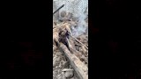 إصابة 4 أشخاص في انهيار جزئي لمنزل ببني سويف (3)