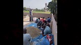 مواجهة هجمات القوارض في الأقصر (2)