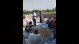 مواجهة هجمات القوارض في الأقصر (4)