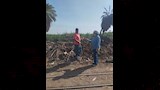 مواجهة هجمات القوارض في الأقصر (14)