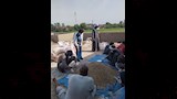مواجهة هجمات القوارض في الأقصر (3)