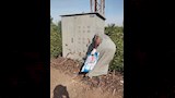 مواجهة هجمات القوارض في الأقصر (17)