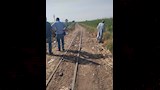 مواجهة هجمات القوارض في الأقصر (19)