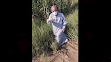 مواجهة هجمات القوارض في الأقصر (22)
