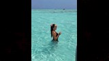 آية سليم (4)