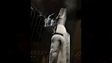 المتحف المصري الكبير (6)