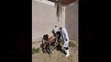 حملة تحصين