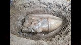 صور توثق العثور على بقايا تمثال رمسيس الثاني بالغربية (9)
