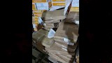 ضبط لحوم والأسماك مجمدة غير الصالحة للاستهلاك الآدمي في البحيرة (1)