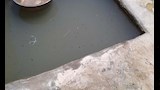 كسارات دهب (2)