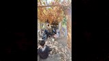 رئيس مركز سمالوط يوجه بتعويض المزارعين وأصحاب العشش قبل إنشاء مجمع طبي  (6)