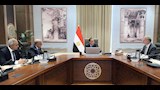 مدبولي يستعرض خطط التحول الأخضر والطاقة المتجددة (3)
