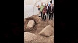 العثور على بقايا تمثال رمسيس الثاني بالغربية (1)