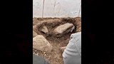 العثور على بقايا تمثال رمسيس الثاني بالغربية (3)
