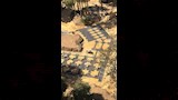 حديقة الحيوان بالجيزة (5)