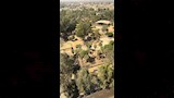 حديقة الحيوان بالجيزة (6)