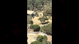 حديقة الحيوان بالجيزة (4)
