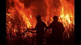 حرائق الغابات في إندونيسيا 3