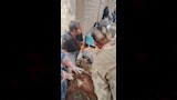  تسليم 127 رأس أغنام وماعز لـ60 أسرة بقرية بني مر  (8)