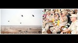 وزير الدفاع يشهد المرحلة الرئيسية لمشروع تكتيكي بالذخيرة (13)