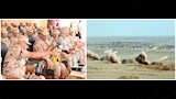 وزير الدفاع يشهد المرحلة الرئيسية لمشروع تكتيكي بالذخيرة (14)