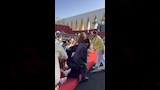 هدى المفتي