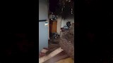 حريق شقة سكنية بالحضرة القبلية بالإسكندرية (5)