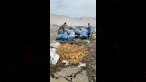 إعدام المخلل